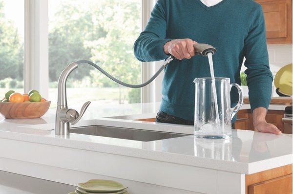 The Moen Arbor 7594 with pull-down sprayhead.